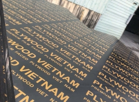 Ván Phủ Phim 